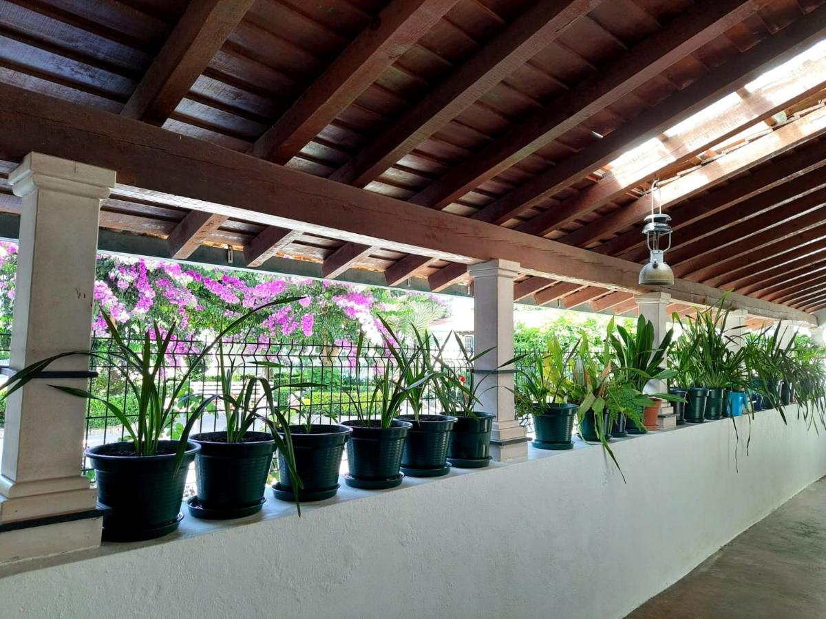 QM - Quinta da Morgadinha - Casa em Quinta Rural Cabecos Exterior foto