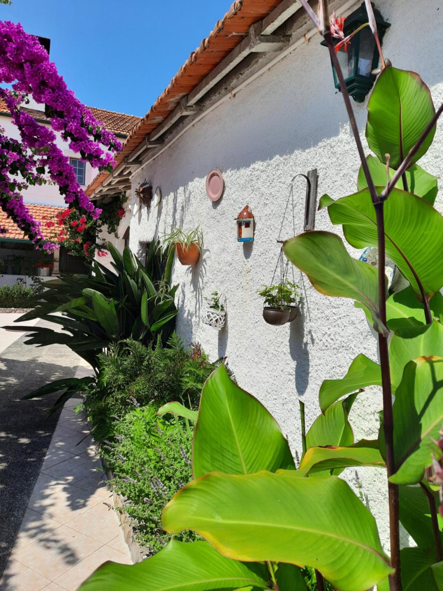 QM - Quinta da Morgadinha - Casa em Quinta Rural Cabecos Exterior foto
