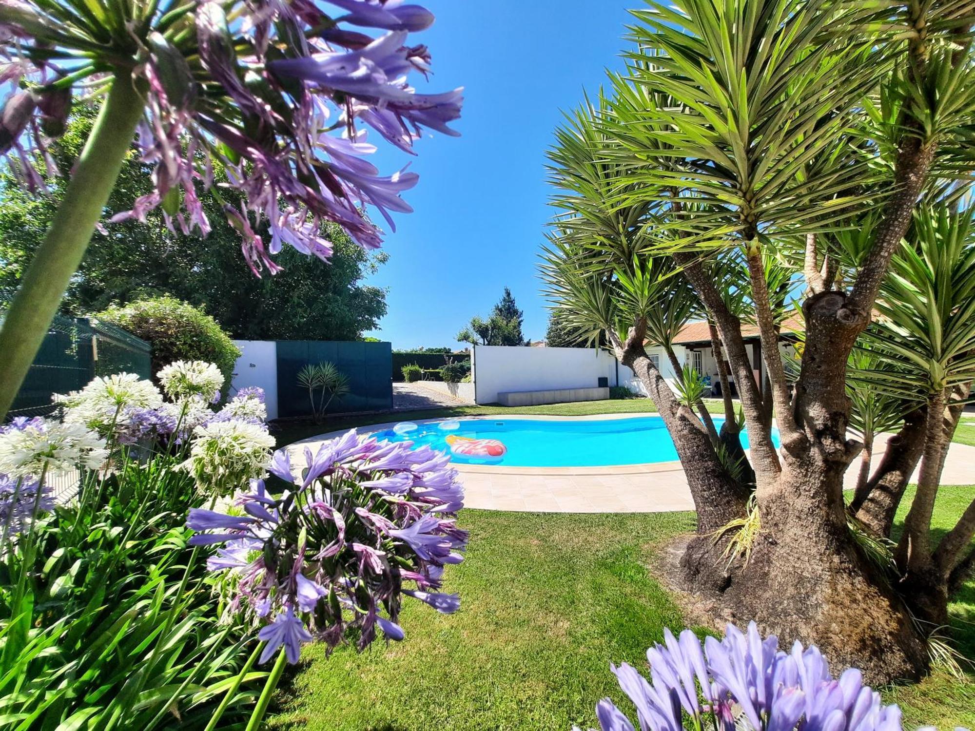 QM - Quinta da Morgadinha - Casa em Quinta Rural Cabecos Exterior foto